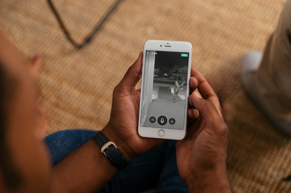 Bayou La Batre AL security system